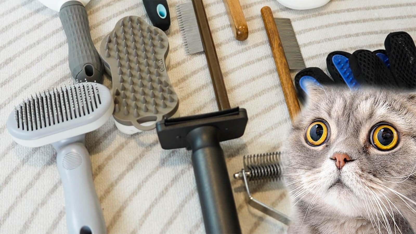 How Do Different Cat Brushes Meet Basic Grooming Needs?