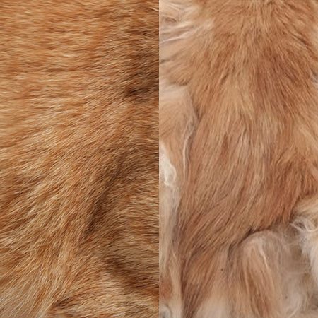 Dull cat fur hotsell